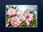 tytu: Rododendron 3 ( Sprzedana )