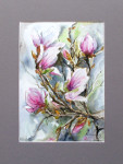 tytu: Magnolia 16 ( Sprzedana )
