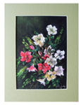 tytu: Kwiaty azalii
