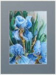 tytu�: Niebieskie irysy ( Sprzedana )